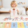 Body System Magnet Board Educational Human Body Game 