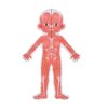 Body System Magnet Board Educational Human Body Game 