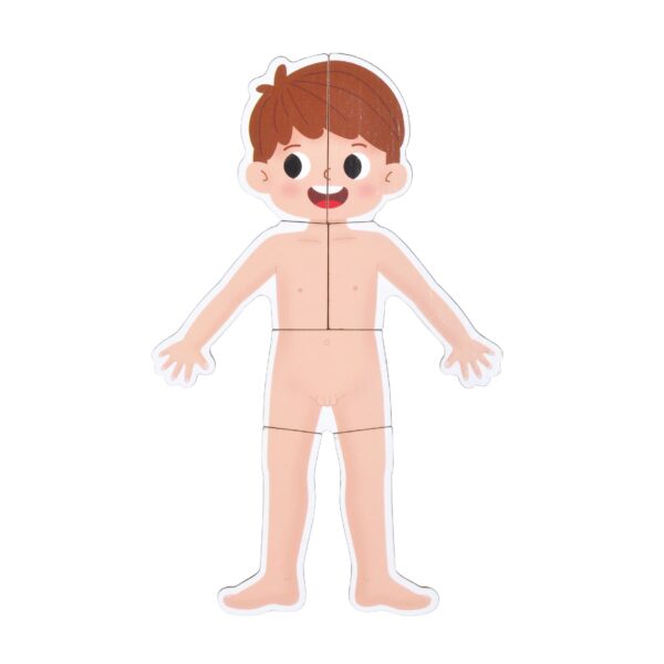 Body System Magnet Board Educational Human Body Game  - Image 5