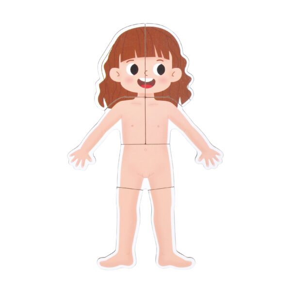 Body System Magnet Board Educational Human Body Game  - Image 6