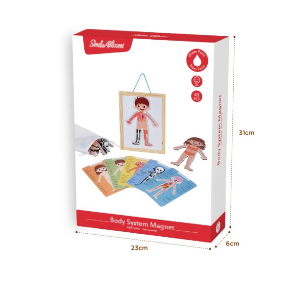 Body System Magnet Board Educational Human Body Game  - Image 8